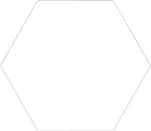 carrelage hexagonal