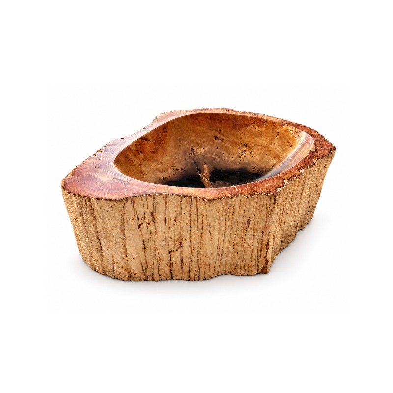 Vasque en bois fossilisé