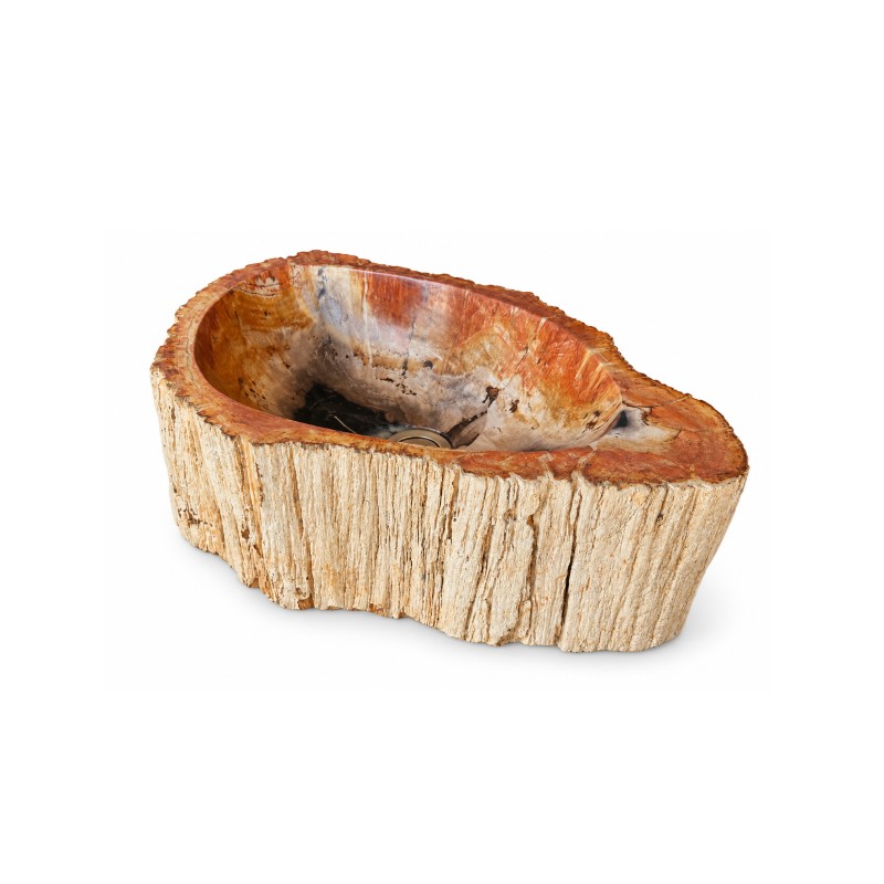 Vasque en bois fossilisé