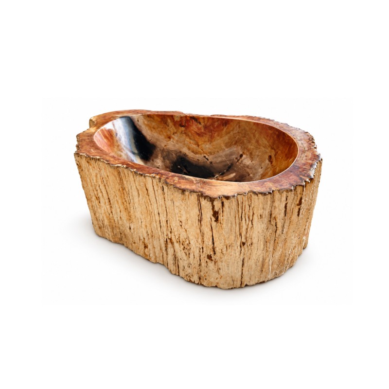Vasque en bois fossilisé