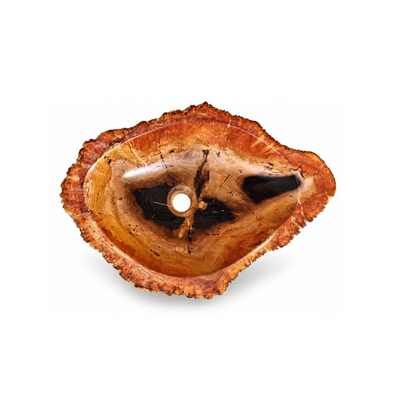 Vasque en bois fossilisé