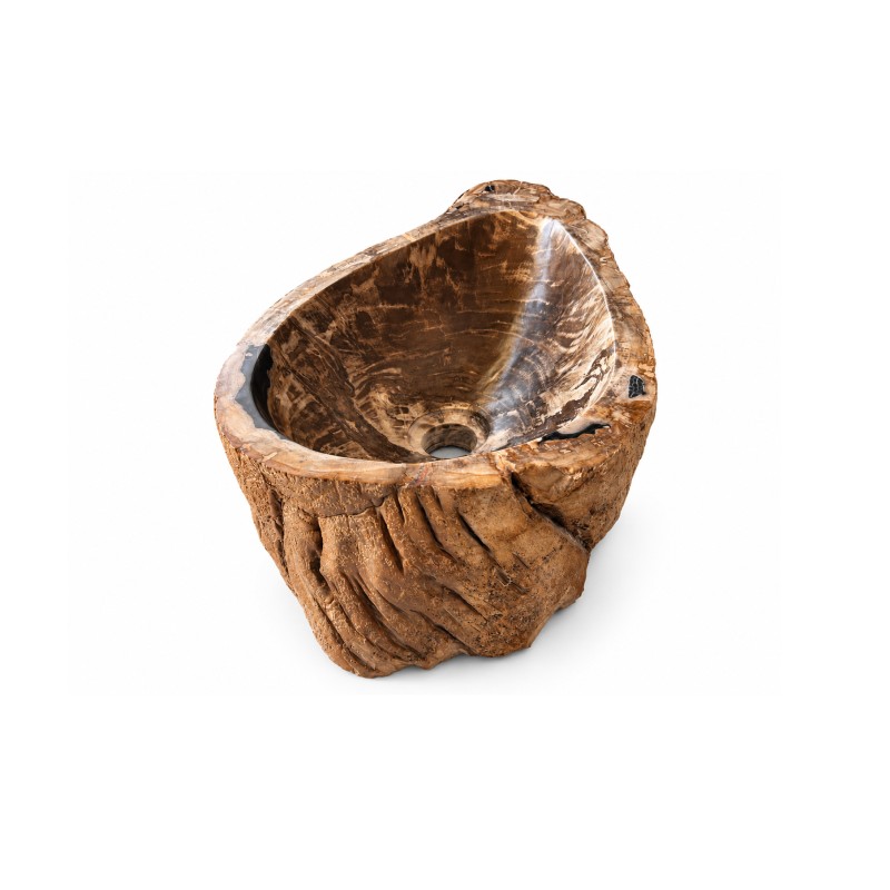 Vasque en bois fossilisé