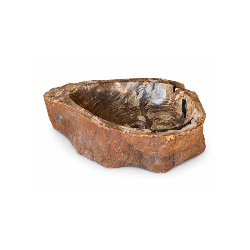Vasque en bois fossilisé