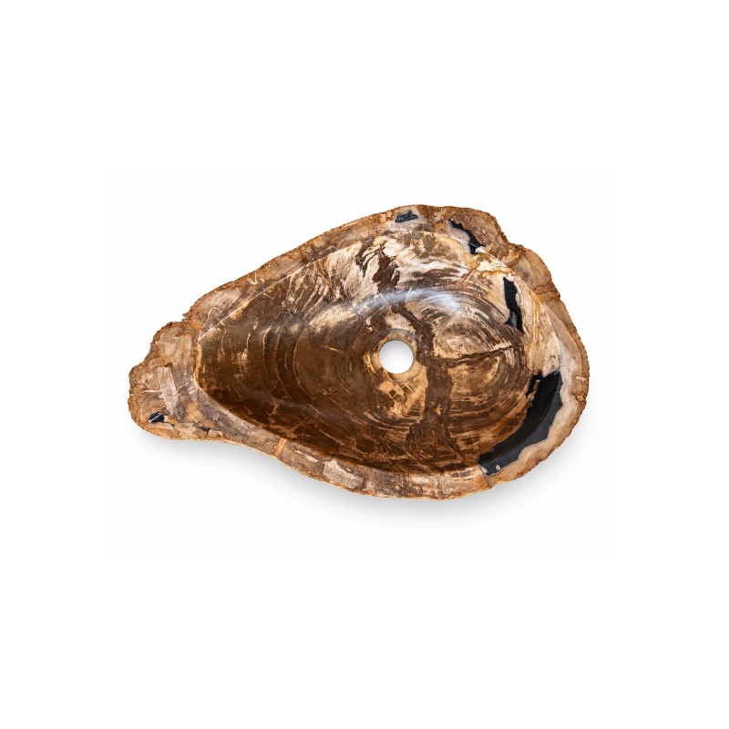 Vasque en bois fossilisé