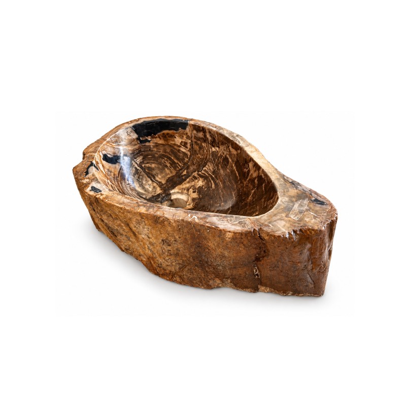 Vasque en bois fossilisé